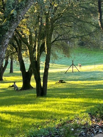 1900 Deer Valley Rd, Rescue, CA 95672