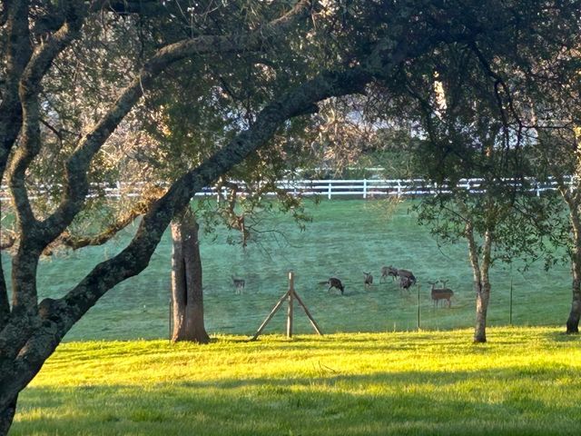 1900 Deer Valley Rd, Rescue, CA 95672