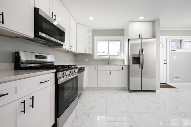 7305 ARCADIA Street, Morton Grove, IL 60053