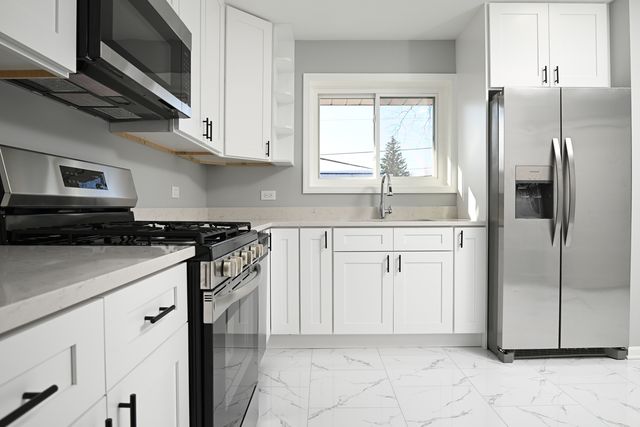 7305 ARCADIA Street, Morton Grove, IL 60053