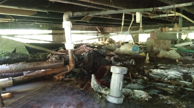 7335 Phillips Street, Houston, TX 77088