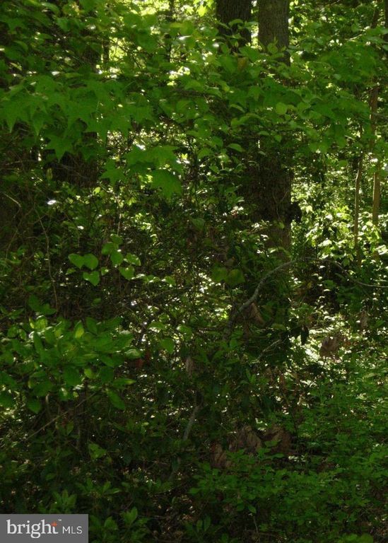Image 1 of property listing at OLD ELK NECK RD, Elkton, MD 21921
