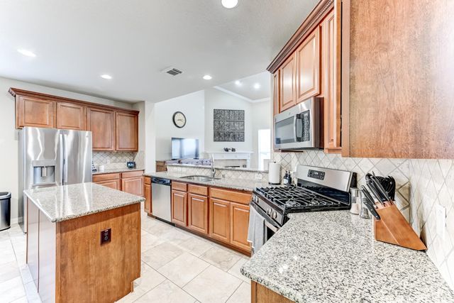 19502 Valkyrie Drive, Spring, TX 77379