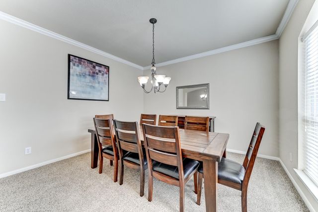 19502 Valkyrie Drive, Spring, TX 77379