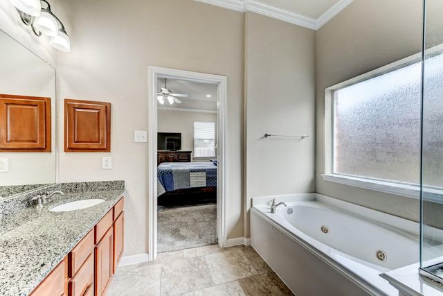 19502 Valkyrie Drive, Spring, TX 77379