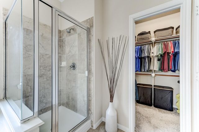 19502 Valkyrie Drive, Spring, TX 77379