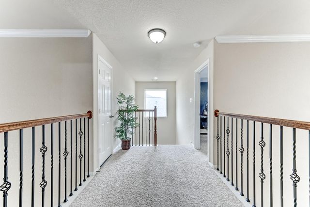 19502 Valkyrie Drive, Spring, TX 77379