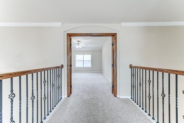 19502 Valkyrie Drive, Spring, TX 77379