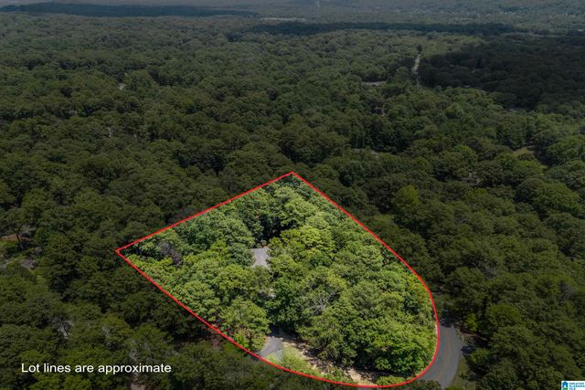 1421 INDIAN CREST DRIVE, Indian Springs Village, AL 35124