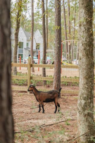 11994 Braided Mane Street, Montgomery, TX 77316