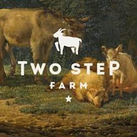 11994 Braided Mane Street, Montgomery, TX 77316