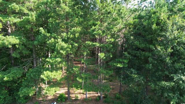 TBD Highway 762, Loris, SC 29569