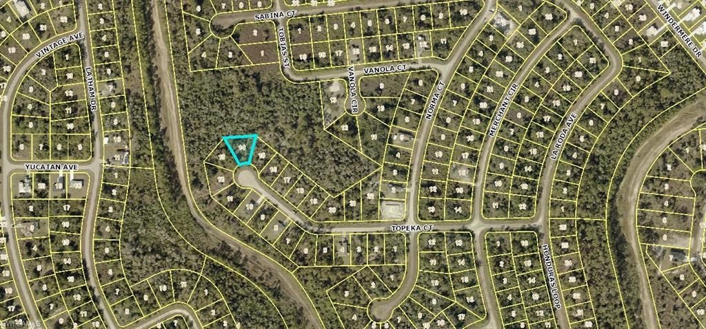 676 & 677 Topeka CT, LEHIGH ACRES, FL 33972 — exterior