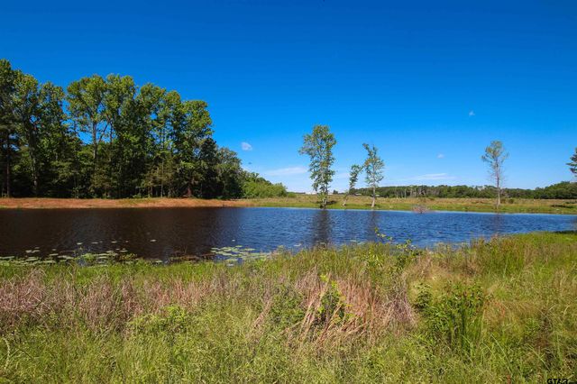 16391 Beacons Jet Ct, Lindale, TX 75771