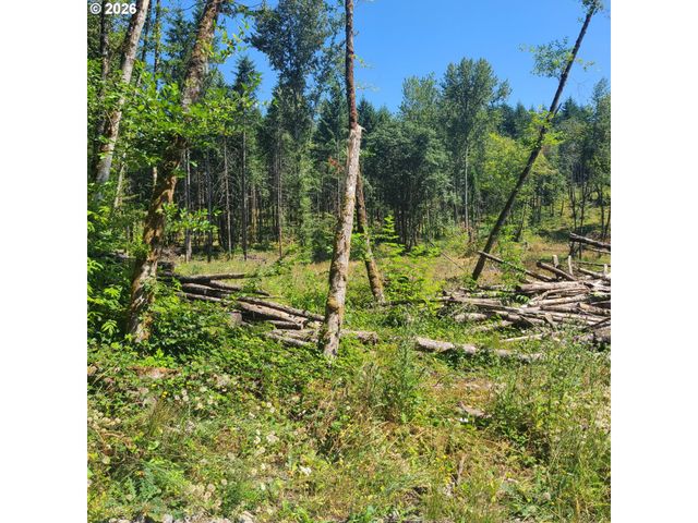 0 Se ZION HILL Dr, Damascus, OR 97089