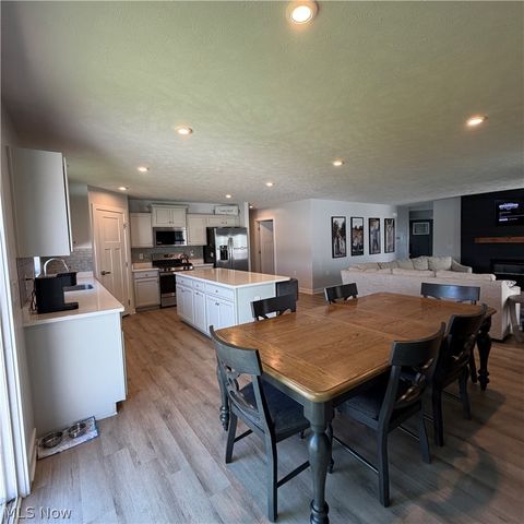 4223 Hidden Village Drive, Perry, OH 44081