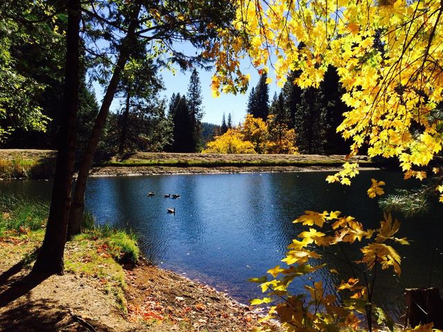 1675 Evergreen Ln, Arnold, CA 95223