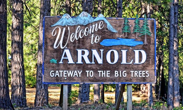 1675 Evergreen Ln, Arnold, CA 95223