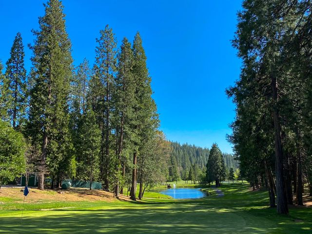1675 Evergreen Ln, Arnold, CA 95223