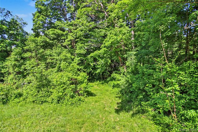 137 Lookout Pass, Stormville, NY 12582