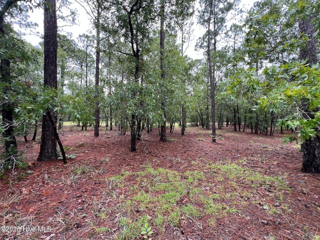 3022 Georgiana Circle SE, Bolivia, NC 28422