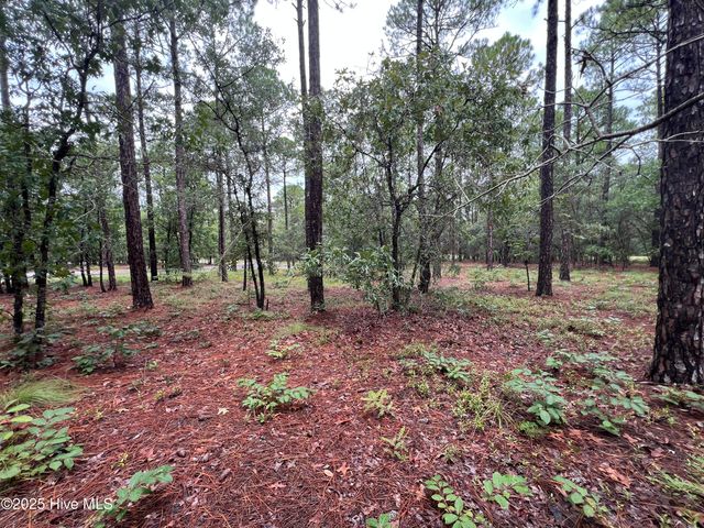 3022 Georgiana Circle SE, Bolivia, NC 28422