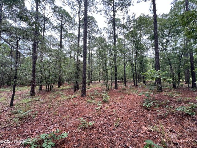 3022 Georgiana Circle SE, Bolivia, NC 28422