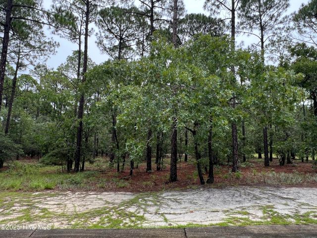 3022 Georgiana Circle SE, Bolivia, NC 28422
