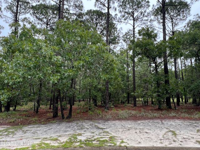 3022 Georgiana Circle SE, Bolivia, NC 28422