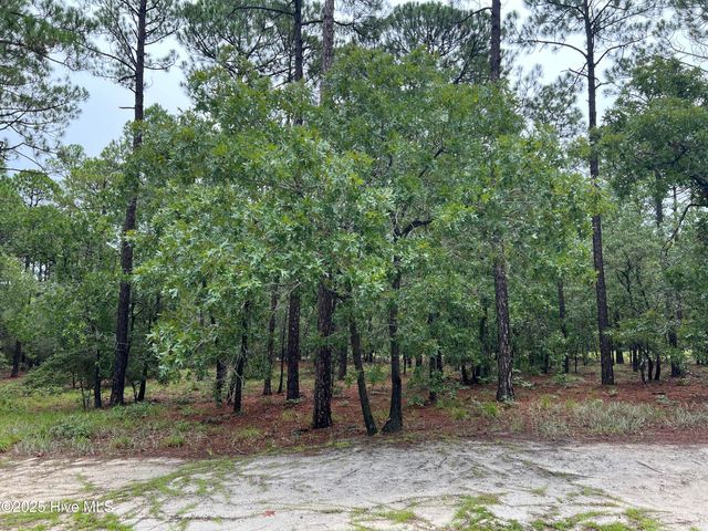 3022 Georgiana Circle SE, Bolivia, NC 28422
