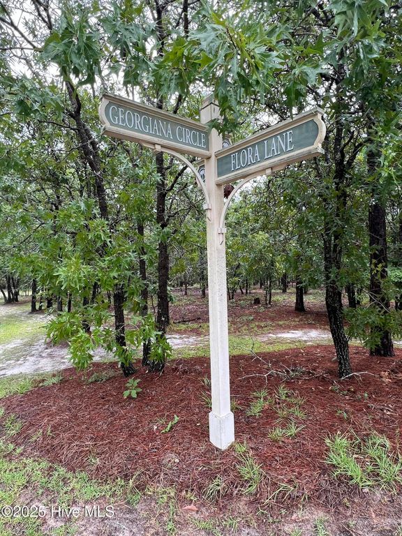 3022 Georgiana Circle SE, Bolivia, NC 28422