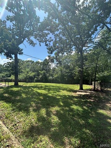 1507 Saint Francois Road, Bonne Terre, MO 63628