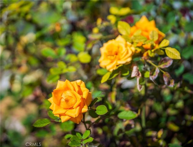 949 Fernrest Drive, Harbor City, CA 90710