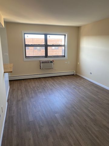 1025 W HOLLYWOOD Avenue 406, Chicago, IL 60660