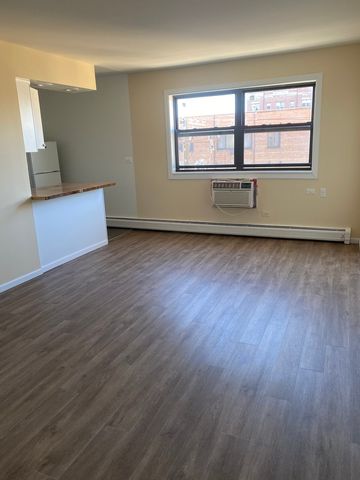 1025 W HOLLYWOOD Avenue 406, Chicago, IL 60660