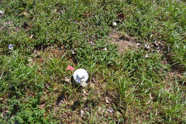 819 Murrey Dr, Pulaski, TN 38478