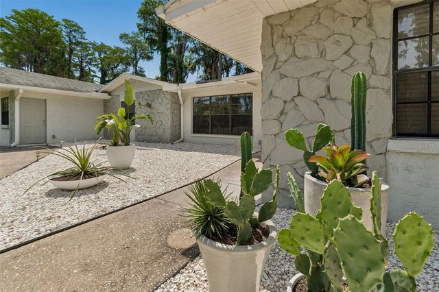 17129 RAINBOW TERRACE, Odessa, FL 33556