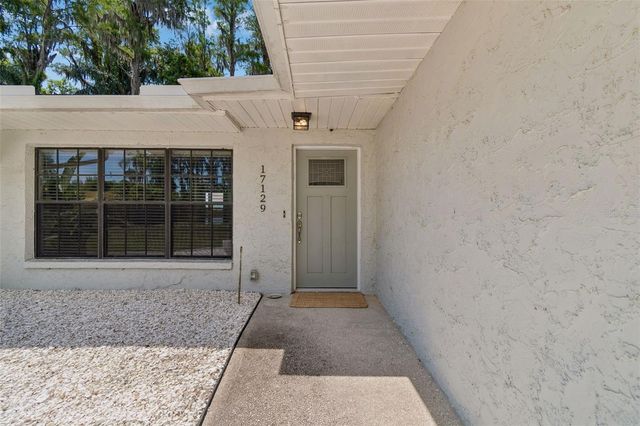 17129 RAINBOW TERRACE, Odessa, FL 33556