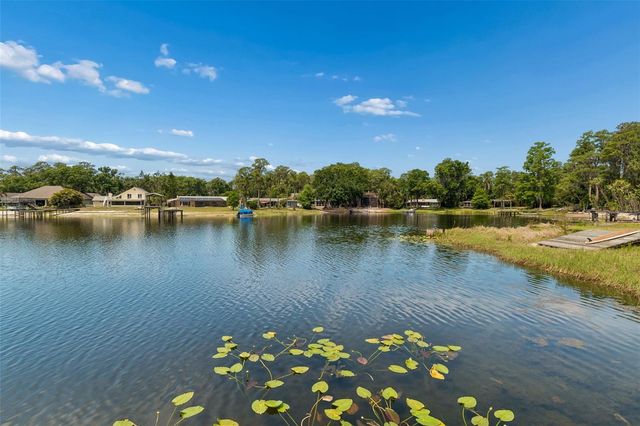 17129 RAINBOW TERRACE, Odessa, FL 33556