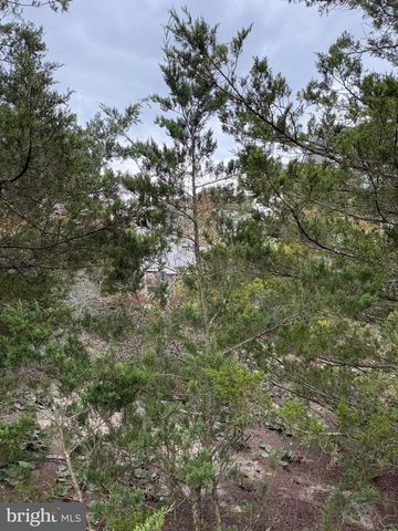LOT 9 PINTAIL AVE, Milton, DE 19968