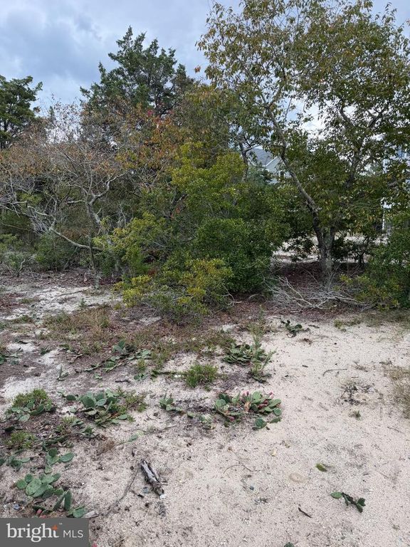 LOT 9 PINTAIL AVE, Milton, DE 19968