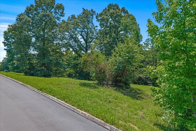16 Copper Still Way Drive, Madisonville, TN 37354