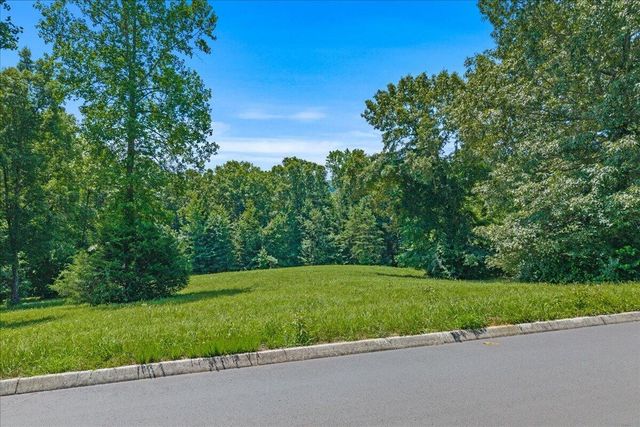 16 Copper Still Way Drive, Madisonville, TN 37354