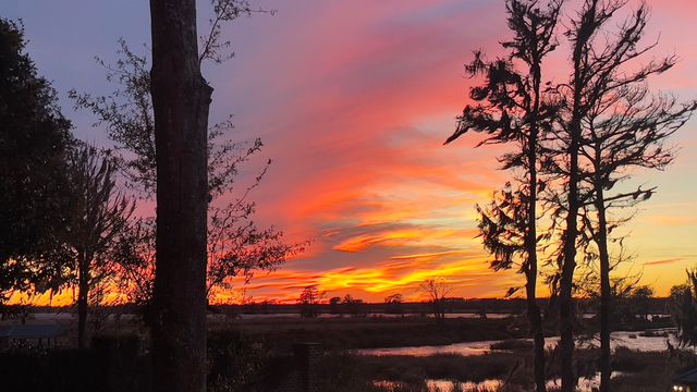 3045 Court St, Murrells Inlet, SC 29576