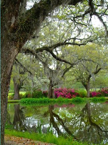 3045 Court St, Murrells Inlet, SC 29576