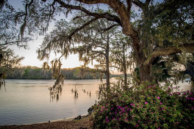 3045 Court St, Murrells Inlet, SC 29576