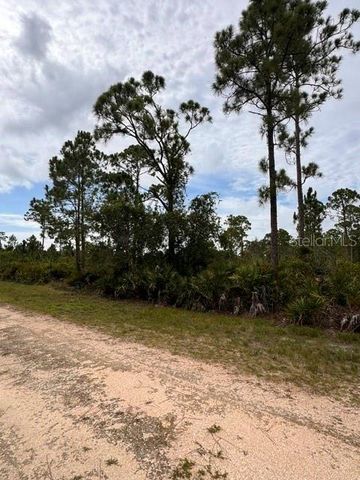 27430 CHRYSALIS DRIVE, Punta Gorda, FL 33955