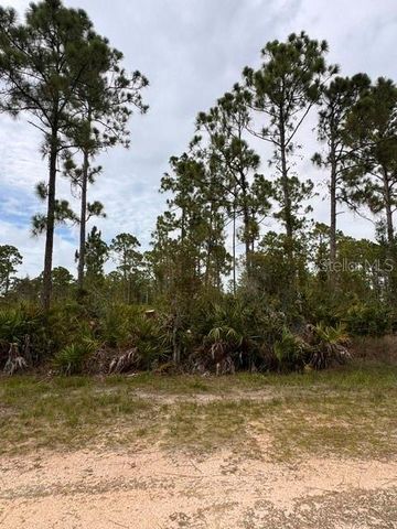 27430 CHRYSALIS DRIVE, Punta Gorda, FL 33955