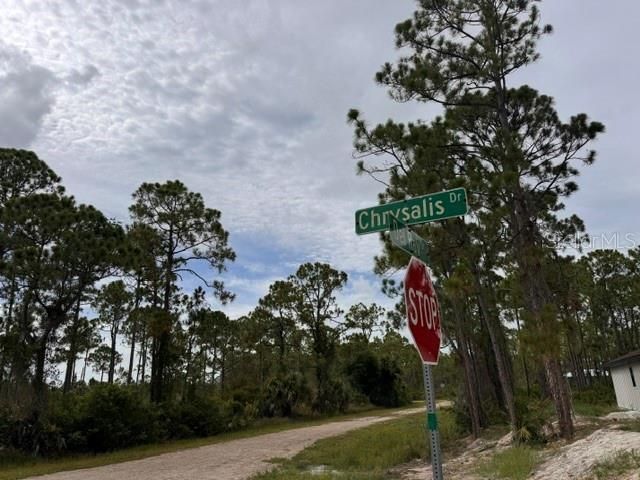 27430 CHRYSALIS DRIVE, Punta Gorda, FL 33955