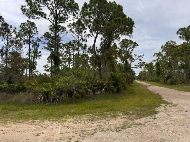 27430 CHRYSALIS DRIVE, Punta Gorda, FL 33955